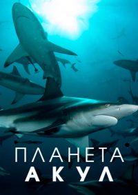 Планета акул (2022)