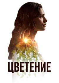 Цветение (2019)