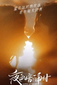 Любовь в ночи (2021)