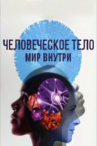 Человеческое тело: мир внутри (2021)